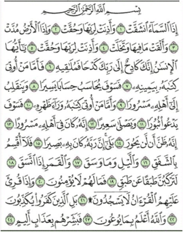 Erimning dugonasi meni sikayapti Yarim eshakli fohishalar DMB