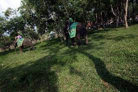 Taman Nasional Way Kambas Dibenahi