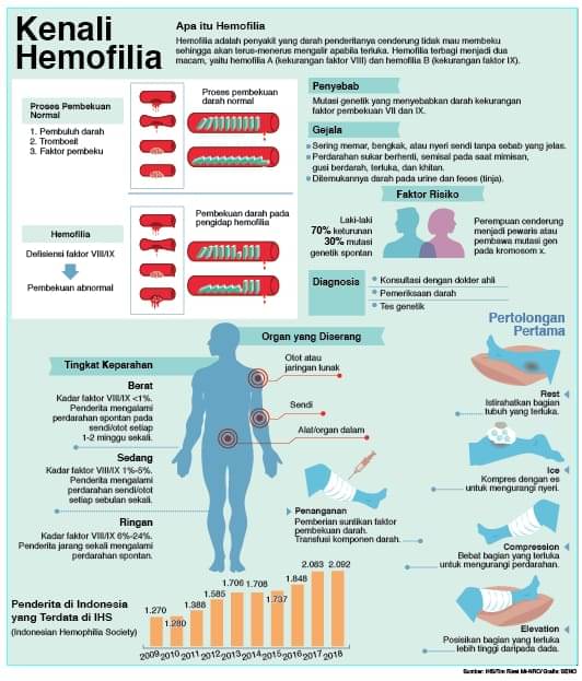 Infografis Hemofilia
