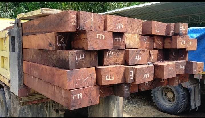 Gakkum KLHK Tindak Jaringan Kayu Ilegal asal Jambi di Tangerang