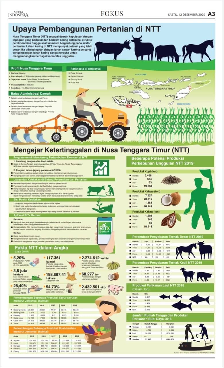 Upaya Pembangunan Pertanian di NTT