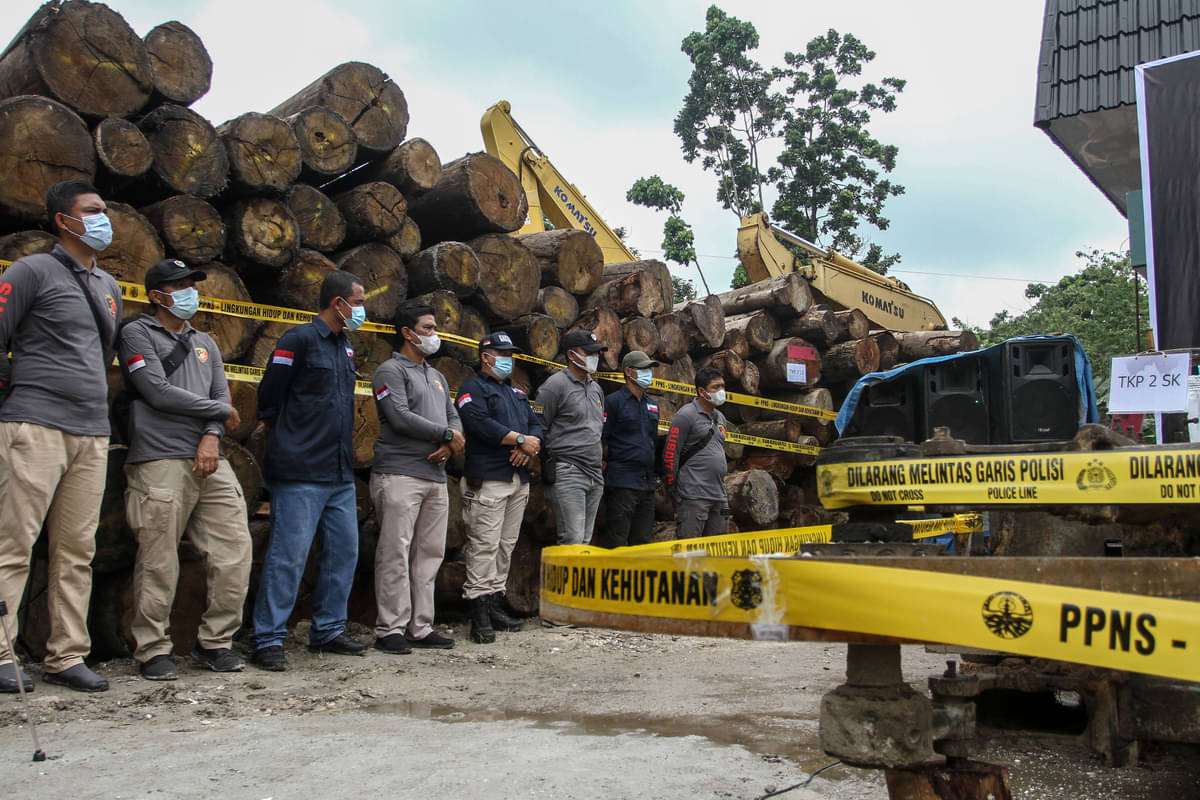 KLHK Serahkan Tersangka Ilegal Logging Ambon ke Kejari Sikka