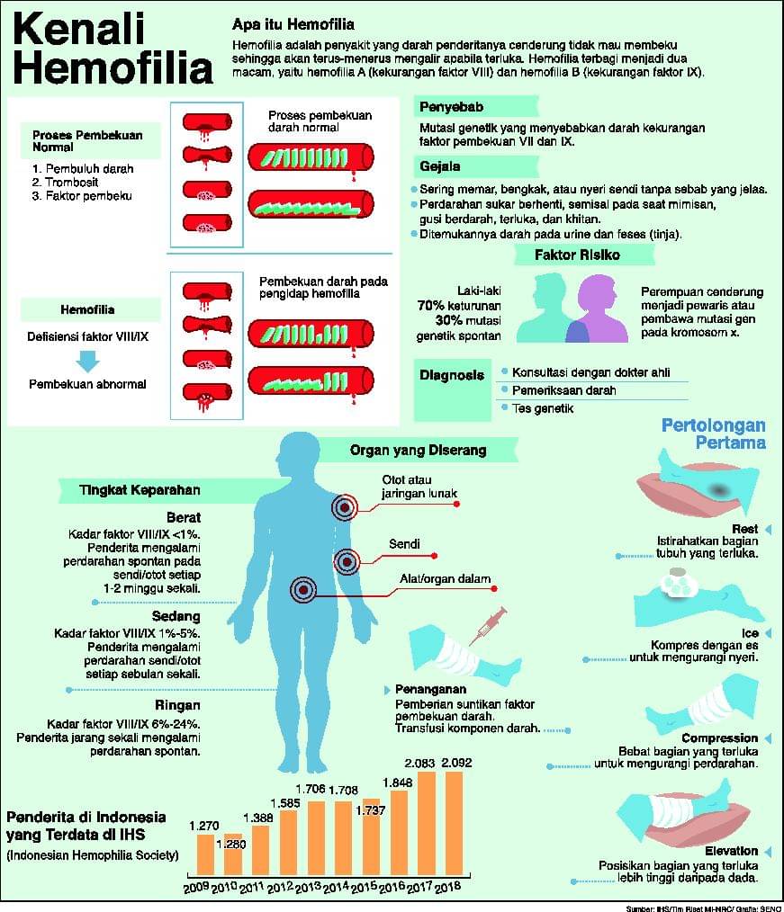 Grafis hemofilia