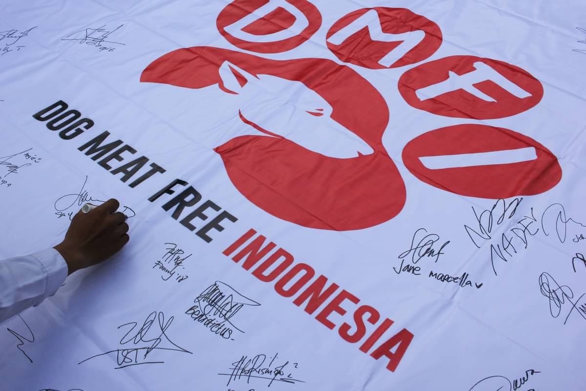 Warga membubuhkan tanda tangan pada selembar spanduk saat kampanye Indonesia Bebas Daging Anjing di Taman Apsari, Surabaya, Jawa Timur.