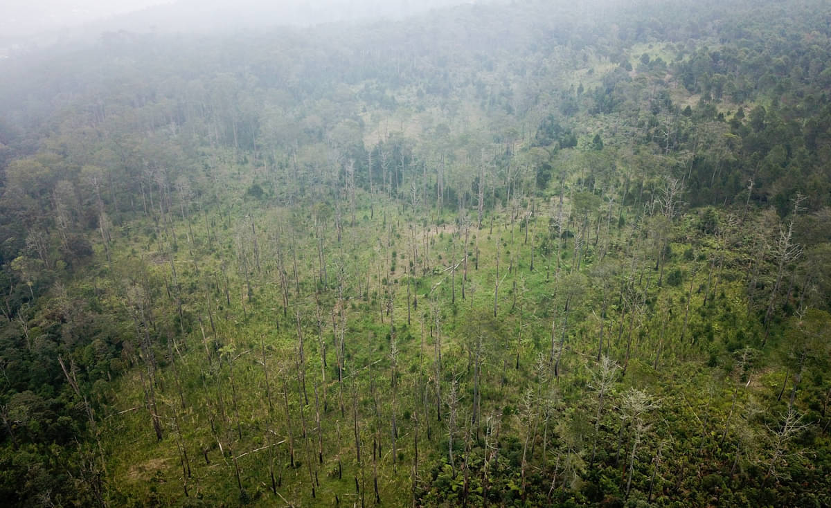 PENYUSUTAN KAWASAN HUTAN DI PULAU JAWA: Foto udara kawasan hutan lindung yang gundul di Kaki Gunung Tangkuban Parahu, Jawa Barat.