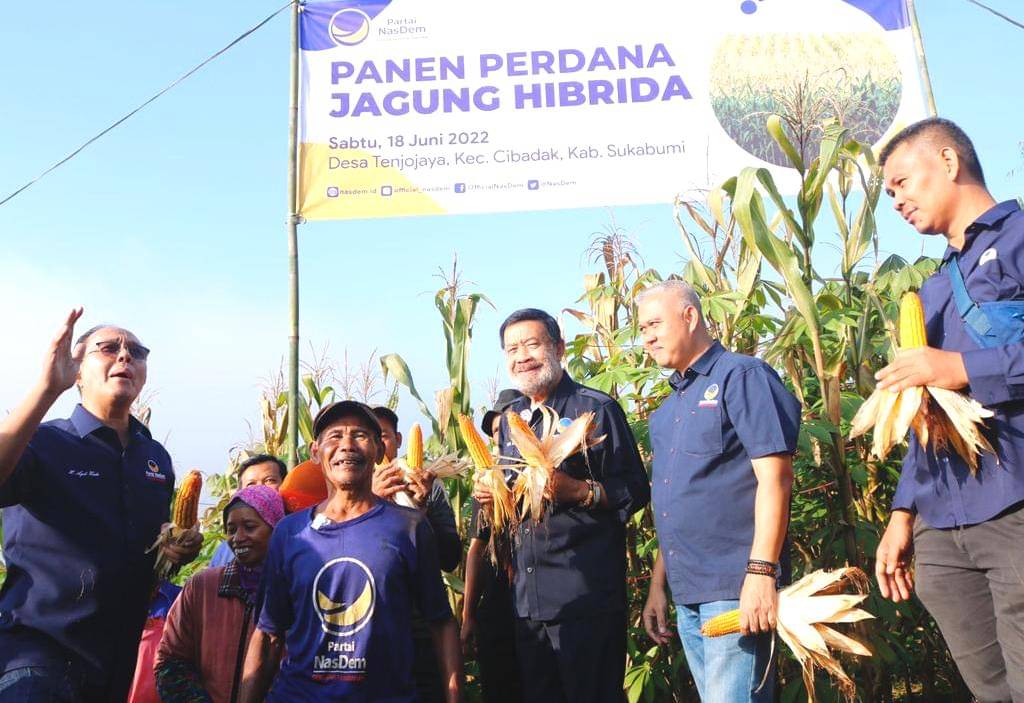 Panen jagung perdana di Sukabumi, Jabar.