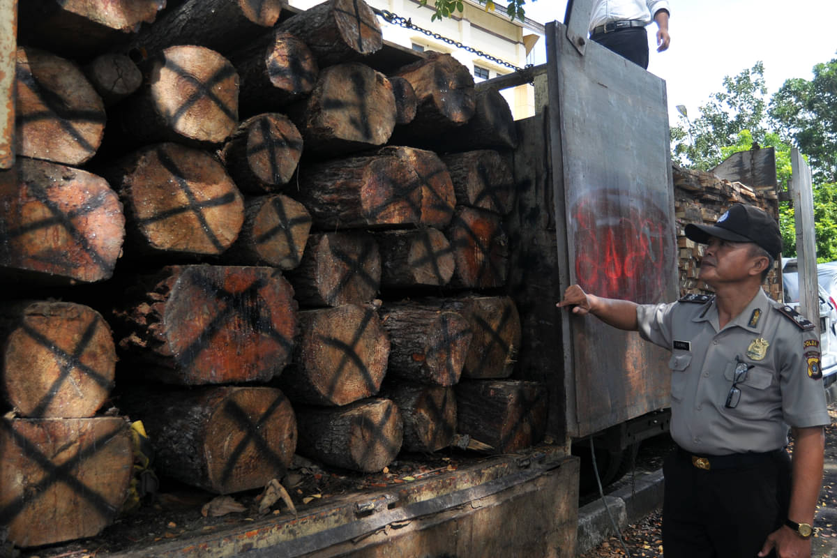 Ilustrasi kayu hasil penebangan secara ilegal