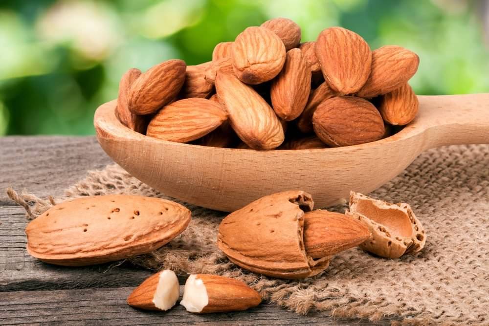 kacang almond