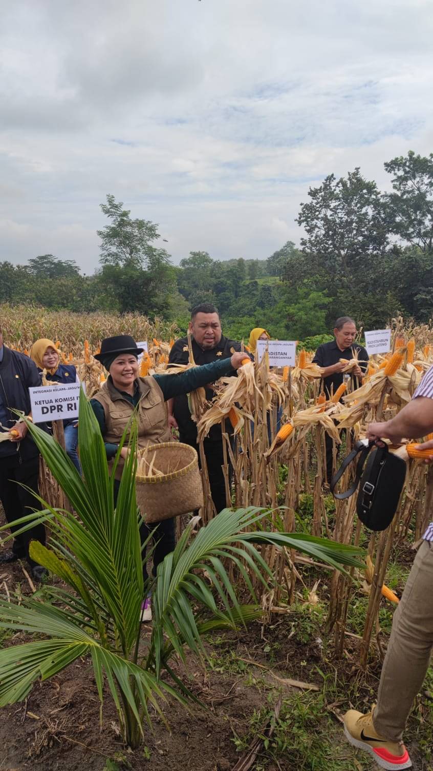 Kunjungan Kerja Spesifik Komisi IV DPR DI terkait Kelapa Genjah di Karanganyar, Jawa Tengah