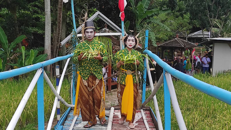 Petani dari Desa Gentungan, Kecamatan Mojogedang, Kabupaten Karanganyar, Jawa Tengah, menggelar pesta budaya sebelum panen raya