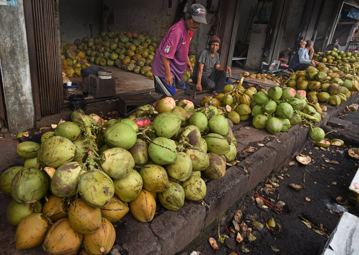 Penjual kelapa hijau di Serang, Banten
