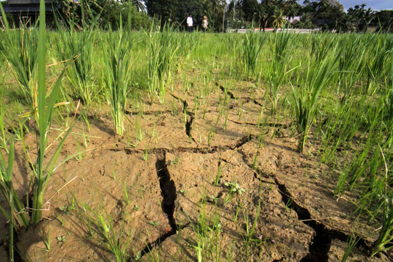 BMKG memperkirakan Bandung Raya akan terdampak el Nino lebih dari 60% di semester kedua tahun 2023.