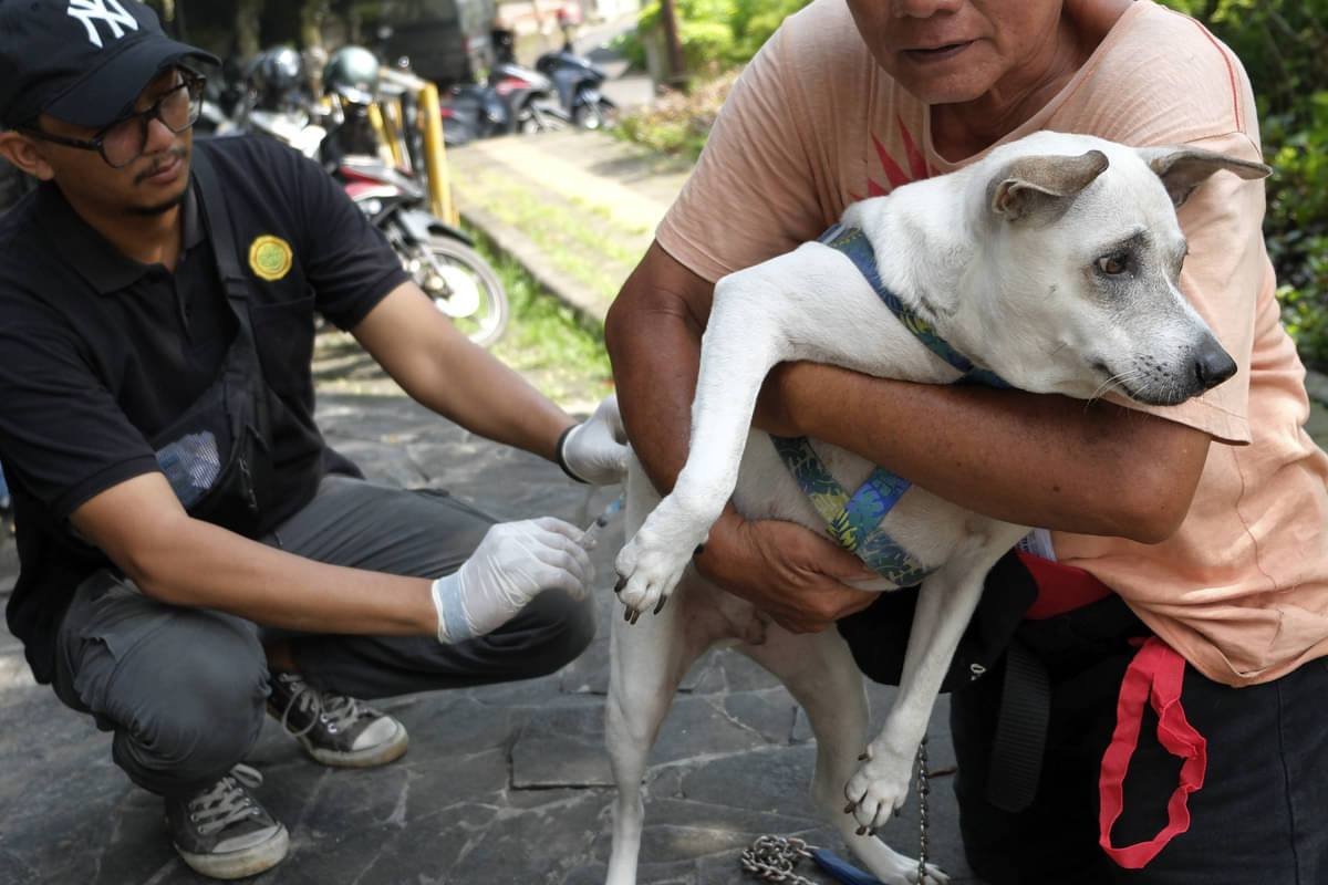 Perubahan Iklim Berpengaruh pada Meningkatnya Kasus Rabies