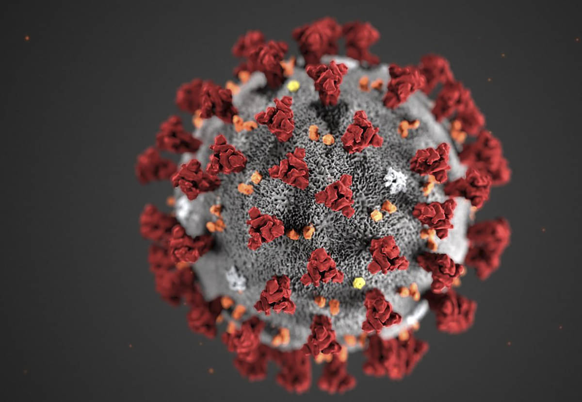 Virus korona penyebab covid-19.