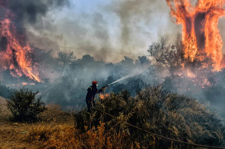Petugas berusaha memadamkan api di hutan Aljazair.