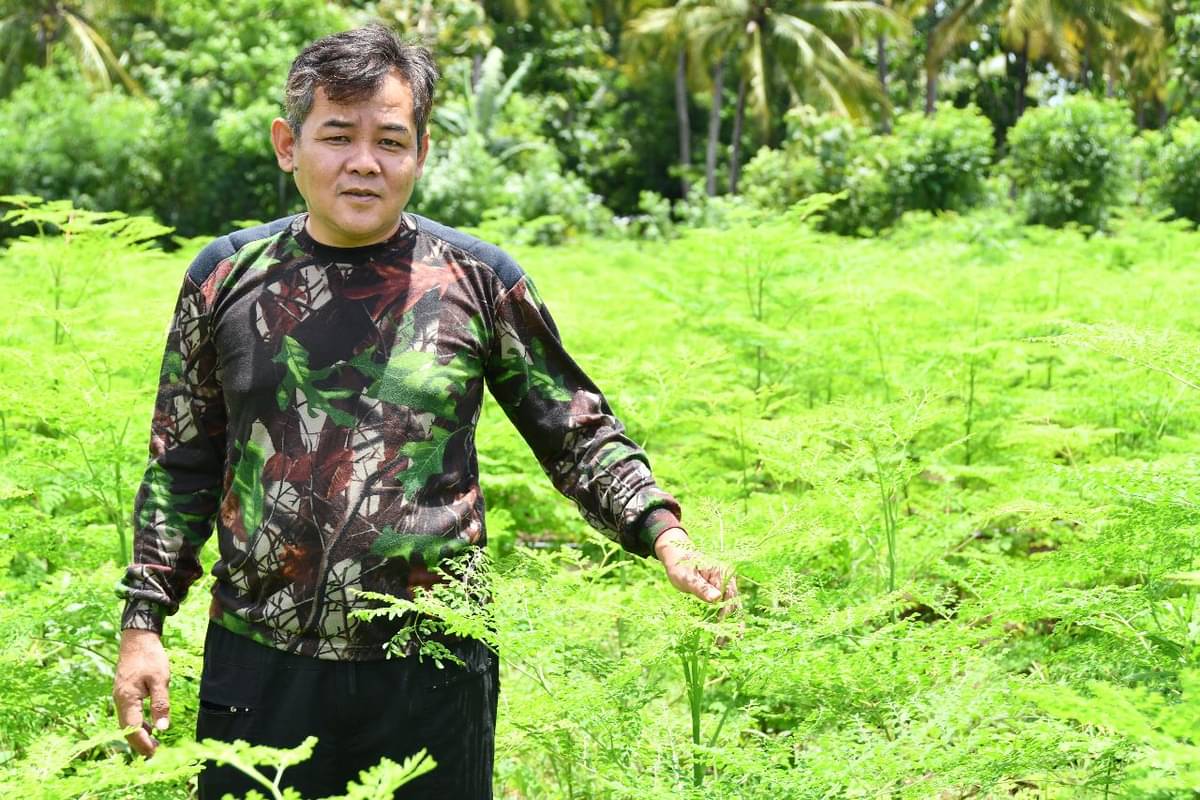 Dudi Krisnadi, owner PT Moringa organik Indonesia (PT MOI), dan tanaman kelornya.