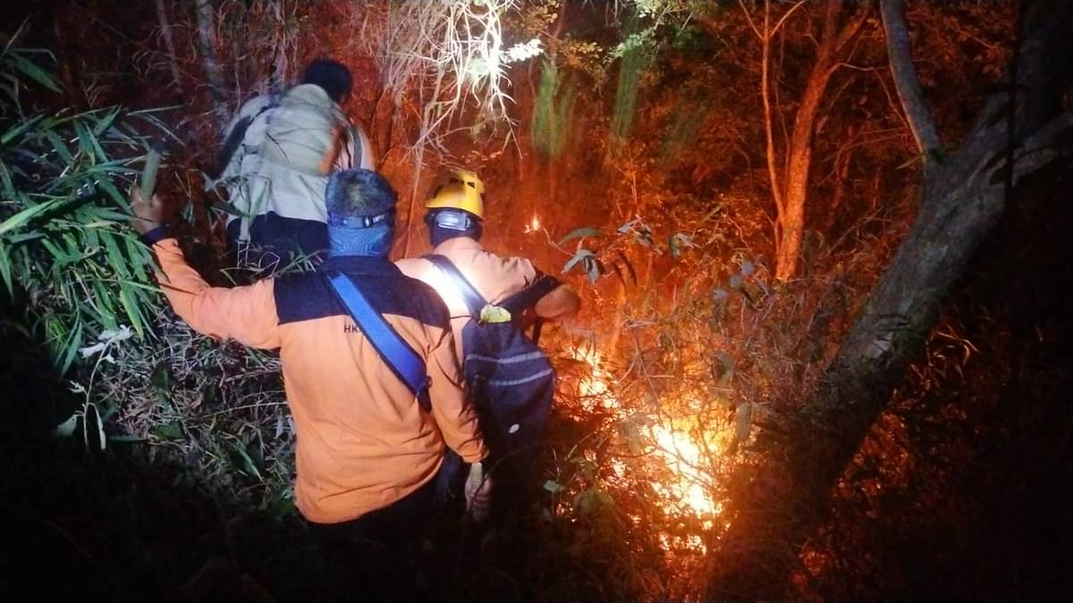 Kebakaran hutan di TN Gunung Ciremai.