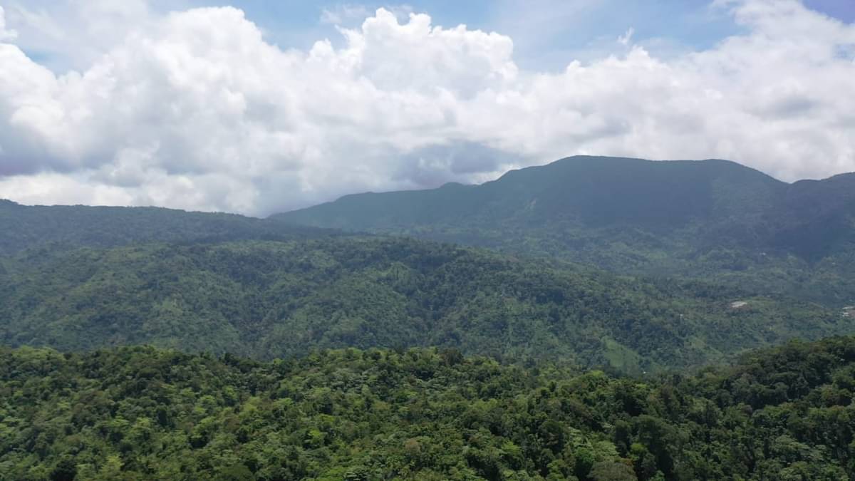 Kawasan hutan sekitar permukiman warga di Aceh.