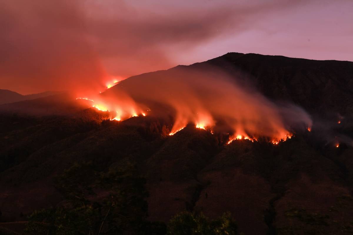 Api melahap kawasan Taman Nasional Bromo Tengger Semeru di Jawa Timur, pada 9 September 2023. 