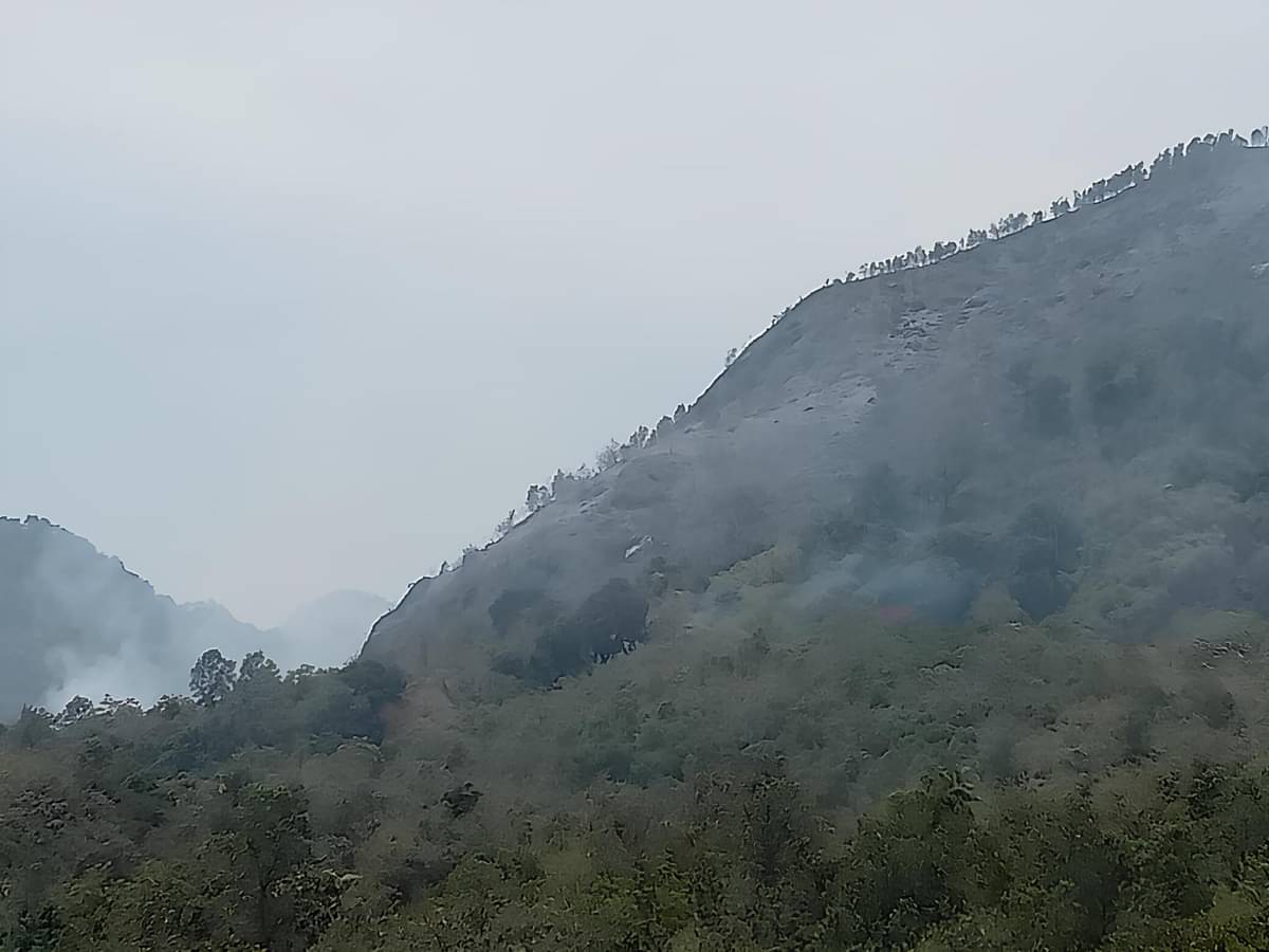Kebakaran di Bukit Lanap, Bukit Barisan, Sumatera Selatan.