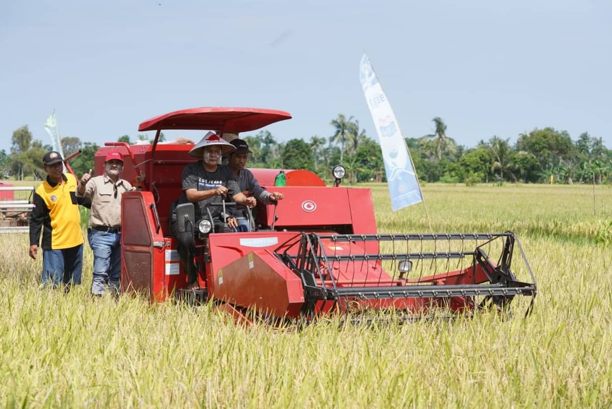 Musim Tanam di Kalsel Bergeser akibat Kemarau