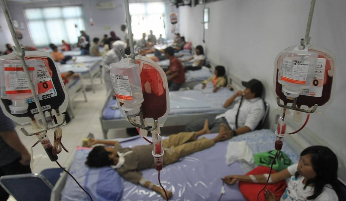 Pasangan yang akan Menikah Disarankan Skrining Talasemia