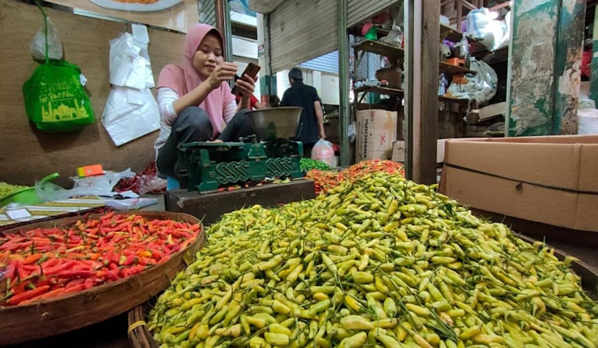 Kemendagri Minta Pemda Perhatikan Harga Cabai Merah dan Cabai Rawit Jelang Tahun Baru