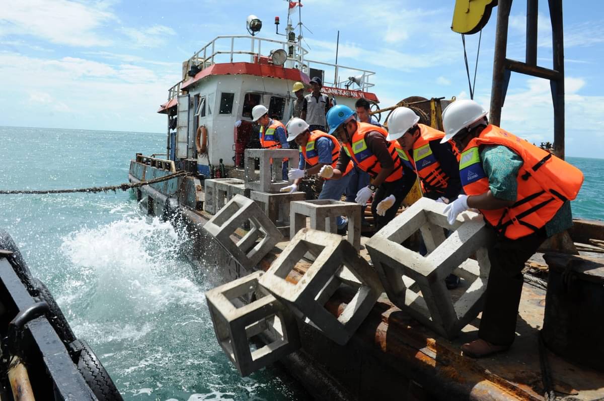  PT Timah Tbk melakukan penanaman serta konservasi terumbu karang dan biota laut.