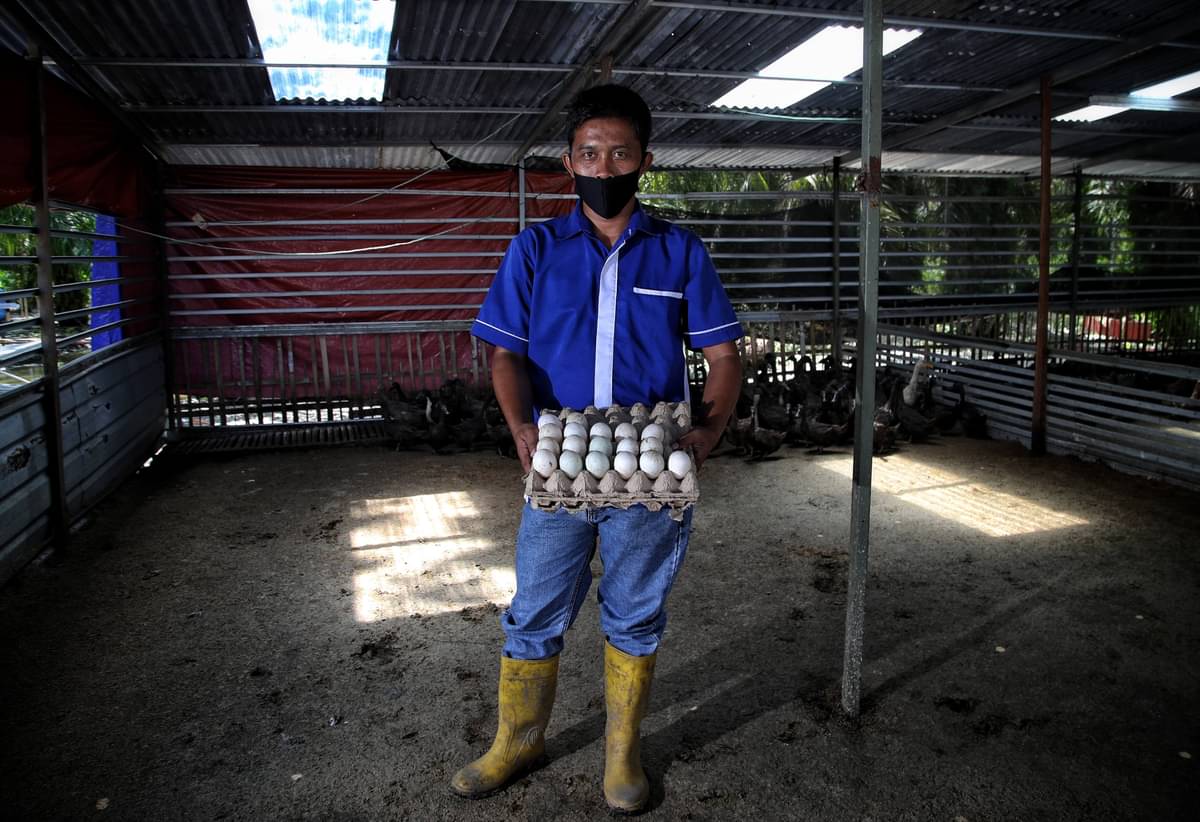 Mind Id memiliki beberapa sosok local heroes untuk mendukung berbagai program yang dilaksanakan masing-masing anggotanya. 