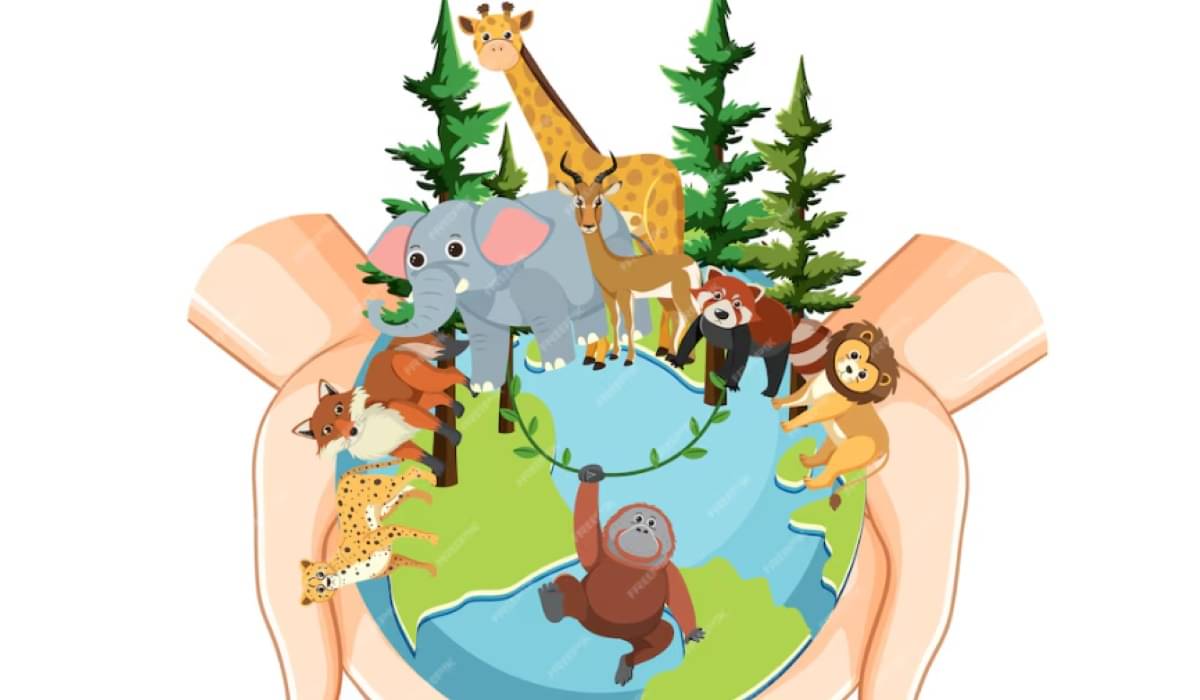 Ilustrasi.