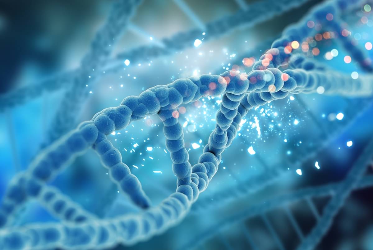 DNA