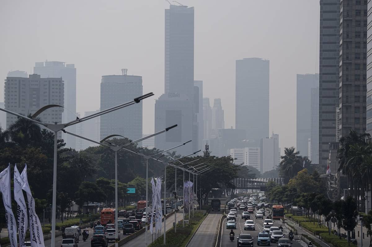 Direktur Jenderal Penegakan Hukum Lingkungan KLHK Rasio Ridho Sani mengungkapkan pihaknya akan menindak tegas terhadap pelanggaran 