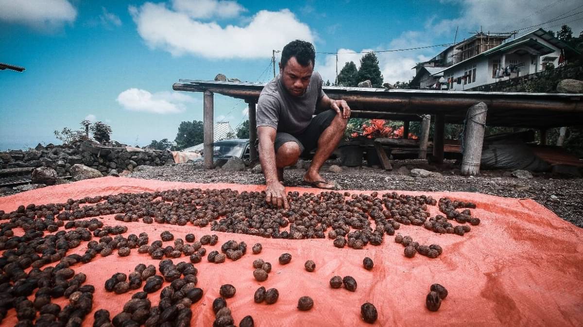 Rempah-rempah.