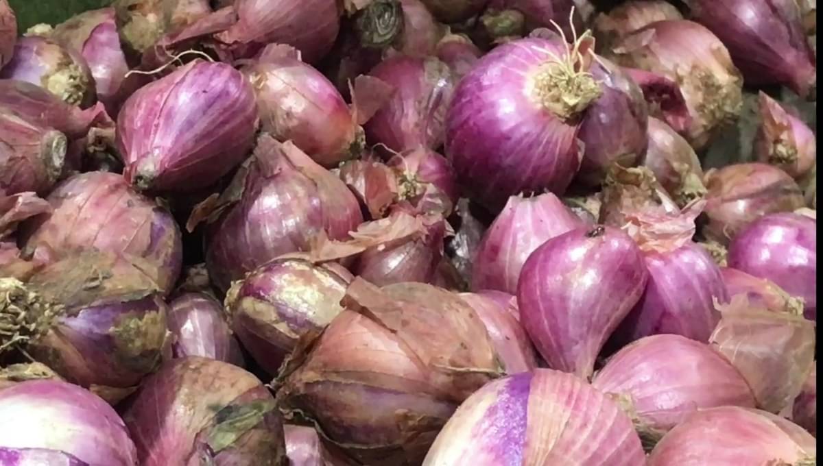 Harga bawang merah dan putih di Palu merangkak naik 