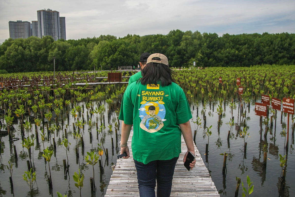 Para relawan Zurich dan Adira Finance melakukan penanaman bibit mangrove di Kawasan Taman Wisata Alam Angke Kapuk, Jakarta.