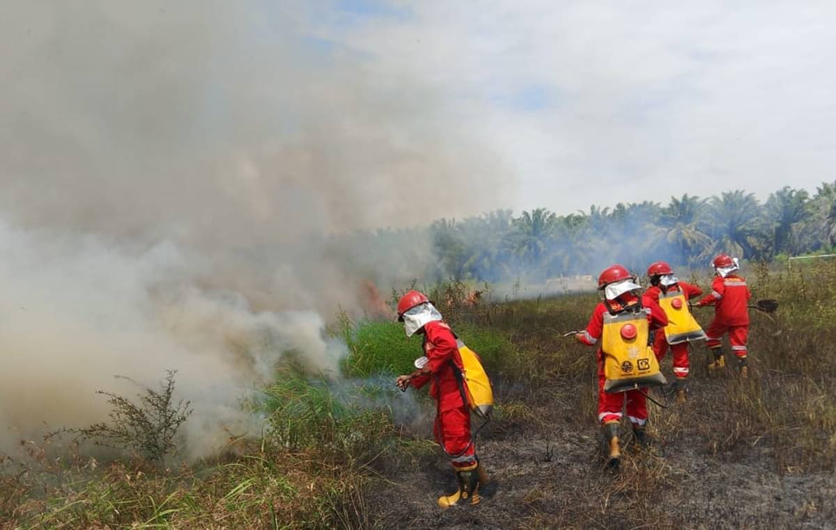 BPBD mengungkapkan bencana karhutla dan pemukiman mulai meningkat seiring kemarau beberapa pekan terakhir.