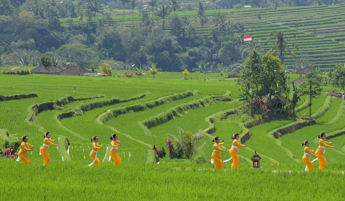 DESA Wisata Jatiluwih di Tabanan, Bali.