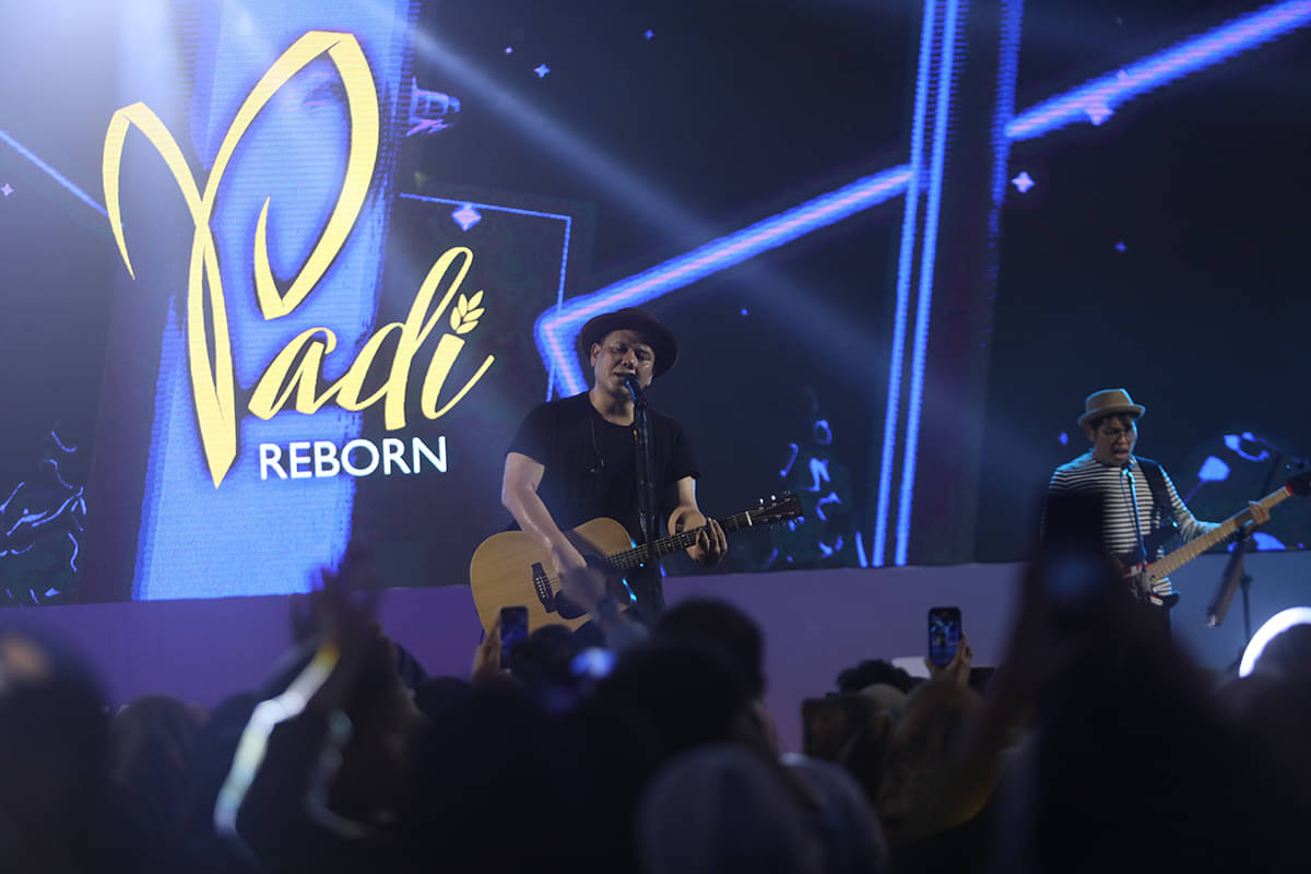 Padi Reborn.