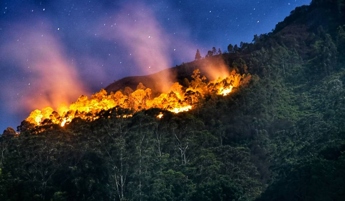 Api membakar hutan dan lahan lereng gunung Sipiso-piso di Merek, Karo, Sumatera Utara 