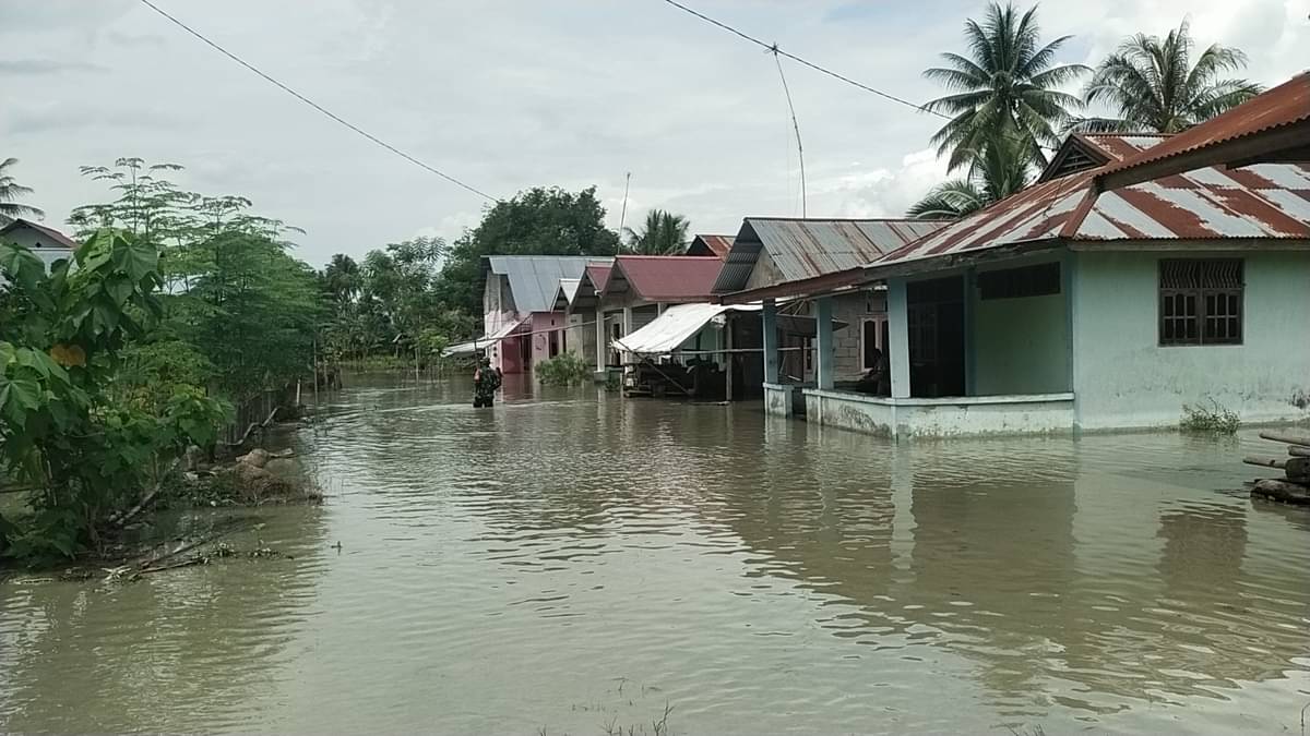  Banjir rendam belasan rumah warga dan puluhan hektar sawath di Sigi