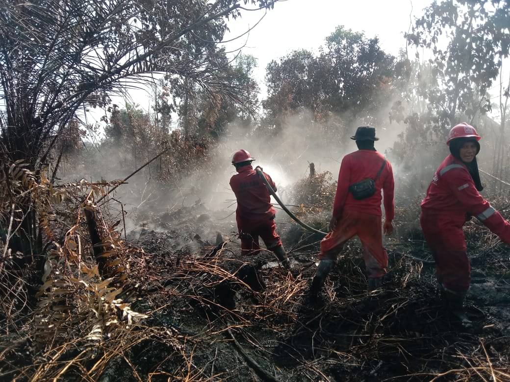 Petugas berjibaku memadamkan kebakaran hutan di Riau beberapa waktu lalu.