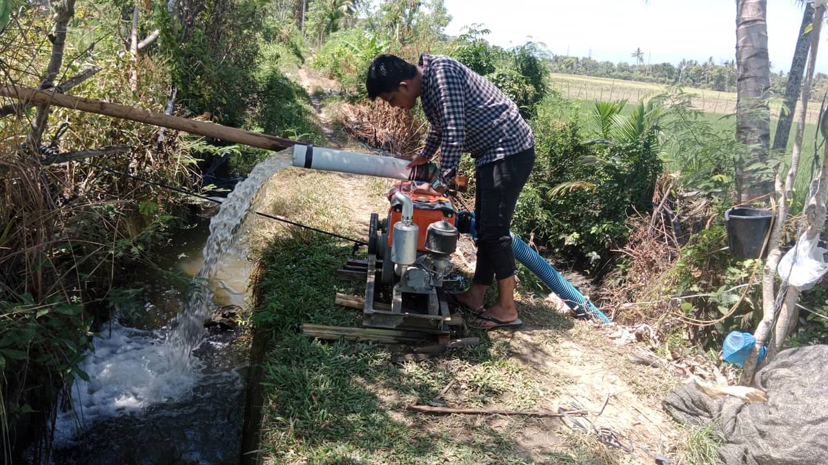 Petani memanfaatkan pompa air untuk mengalirkan air ke sawah