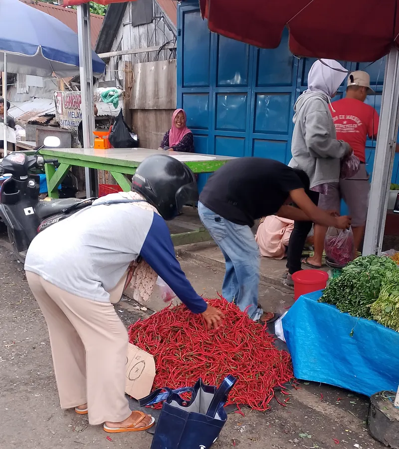 Harga Komoditas Cabai Keriting di Bengkulu, Kembali Naik