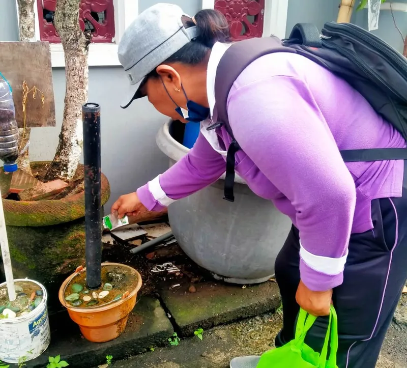 Januari 2025, di Bali Tercatat 542 Kasus DBD, 1 Meninggal