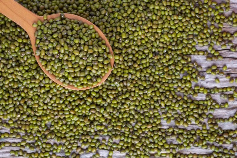 9 Manfaat Kacang Hijau bagi Kesehatan, Bisa Mengontrol Gula Darah