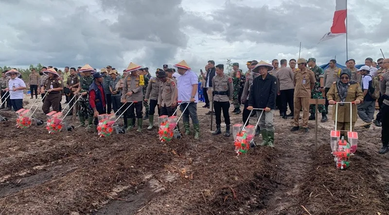 Lahan Pengembangan Swasembada Tanaman Jagung di Kalteng Capai 1.813,5 Hektare