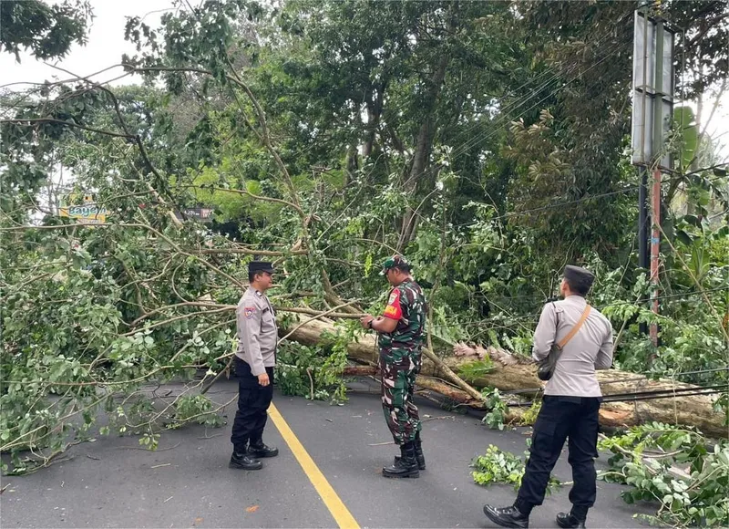 Masyarakat Cirebon Diminta Waspadai Hujan Disertai Angin Kencang