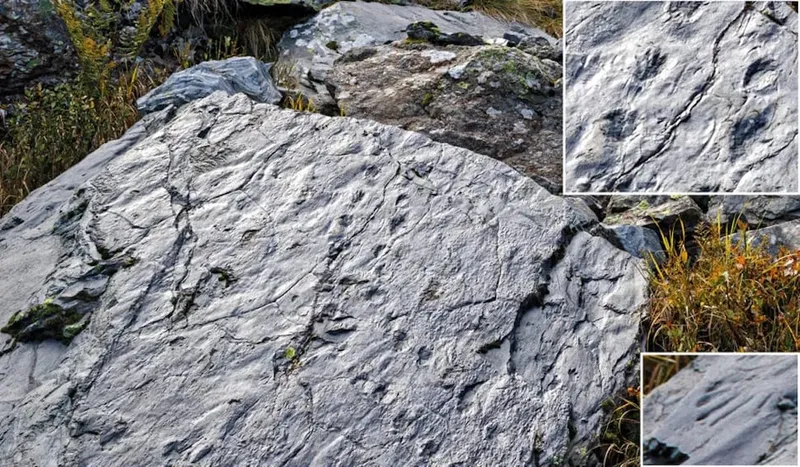 Mengejutkan! Wanita Ini Temukan Jejak Kehidupan Prasejarah di Pegunungan Italia