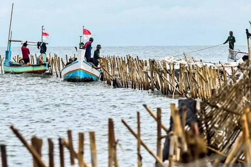 22,5 Kilometer Pagar Laut Tangerang sudah Dibongkar 