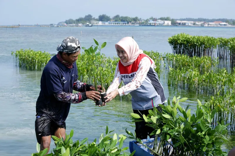 Program Penanaman Seratus Ribu Mangrove untuk Pesisir yang Hijau